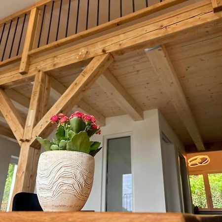 Zur Donauinsel Apartment Bad Abbach Ngoại thất bức ảnh