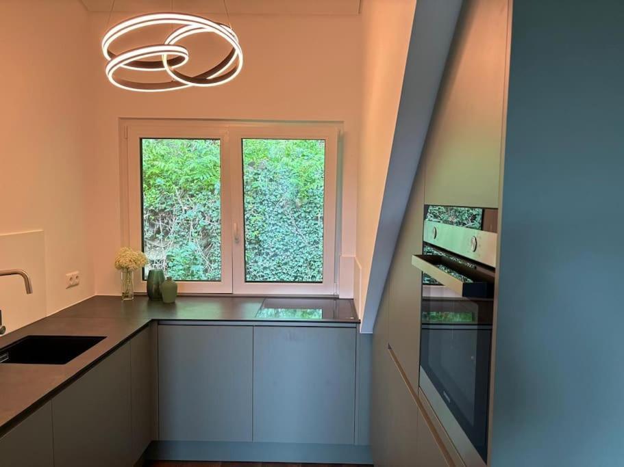 Zur Donauinsel Apartment Bad Abbach Ngoại thất bức ảnh